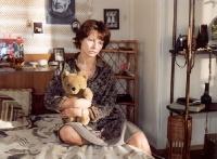 vdv31_500x vdv31_500x