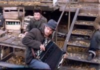 vor01_500x vor01_500x