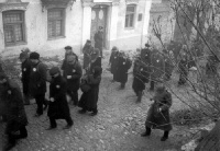 papa24_500x papa24_500x