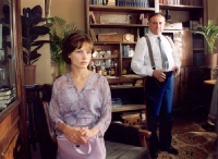 vdv34_500x vdv34_500x