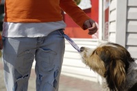 _DSC0005_(26)_norm _DSC0005_(26)_norm