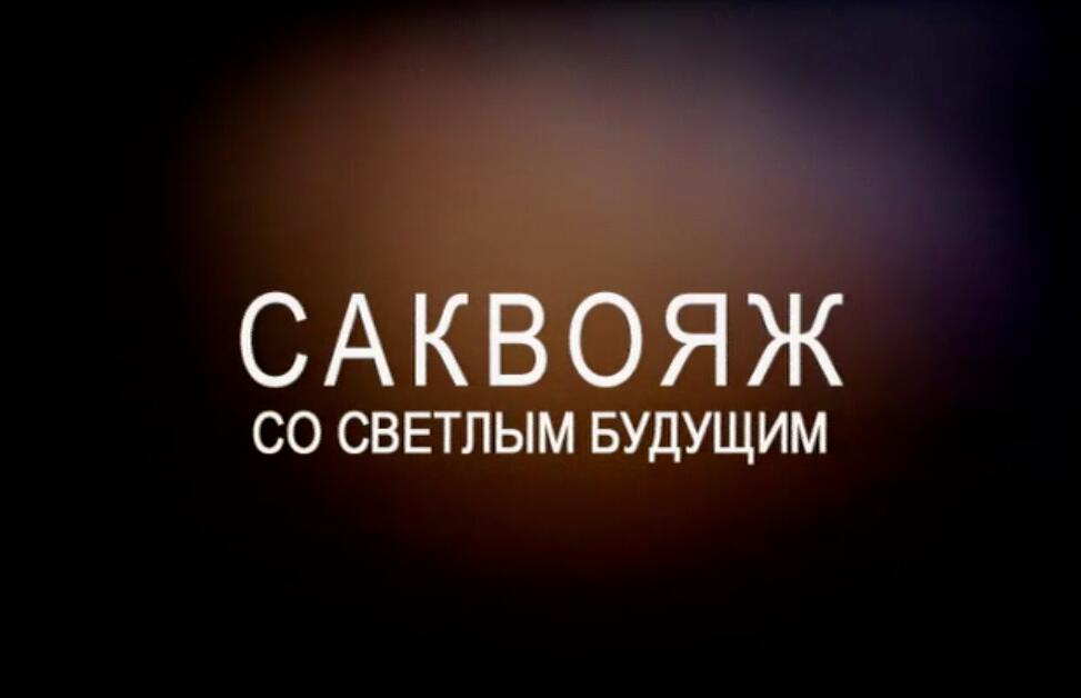 Устинова 6. Саквояж со светлым будущим