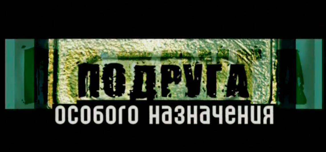 Устинова 2. Подруга особого назначения