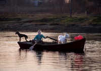 PSDJ_1010_normal PSDJ_1010_normal