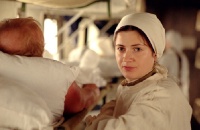 papa36_500x papa36_500x