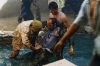 moonpapa03_500x moonpapa03_500x